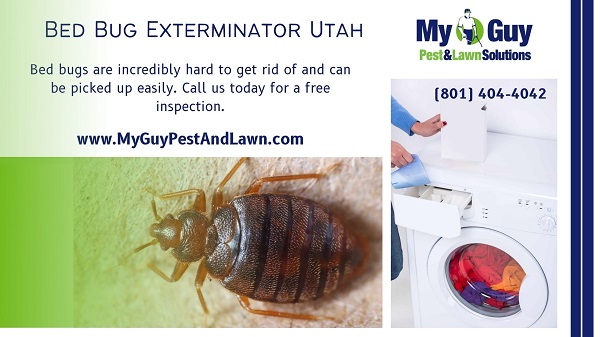 Eliminate Bed Bugs Fast! Expert Exterminator Services in Uta - Utah - Salt Lake City ID1561128