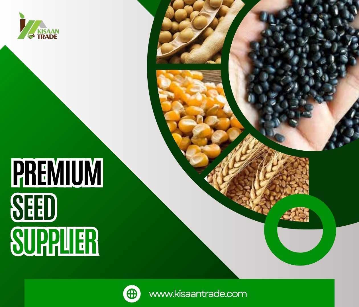 Get Improved Crops with Our Premium Seed Supplier - Madhya Pradesh - Indore ID1562946