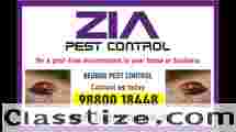 Zia Pest control | Bedbug Treatment | Rodent | 1981 Bedbugs service