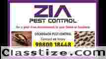 Zia Pest Control | Cockroach pest control cleaning services | 602