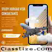 Your Trusted Guide: Study Abroad Visa Consultants at Your Service