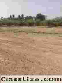 DTCP  APPROVED PLOTS FOR SALE AT THIRUVLNGADU