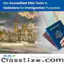 Quick and Accurate: Immigration DNA Testing in Vadodara