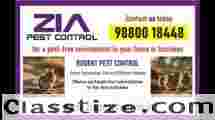 Zia Pest Control | Rat Mice and Lizard | 30% Off for Residence an