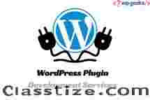 WordPress Plugin Development Services | HireWPGeeks