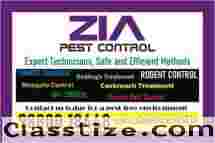 Bed Bug treatment | Cockroach pest service | Upto 40% Off for PG 