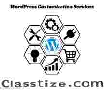 Get the Best Results with WordPress Customization Services