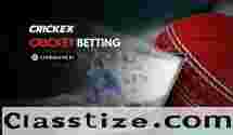 Crickex: Your Premier Betting Destination