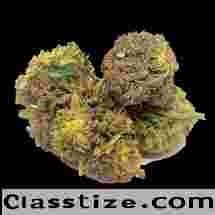 Premium THC Hemp Flower at Green Herbal Care