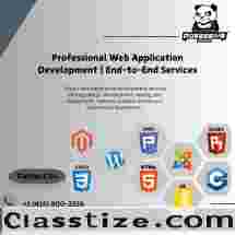 Professional Web Application Development | End-to-End Services