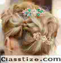 Elegant French Hair Accessories