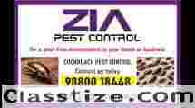 Cockroach Pest Control | Upto 50% Off | office and residence | 30