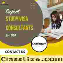 Expert Study Visa Consultants for USA: Your Path to Education