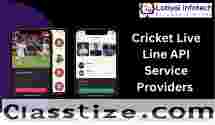 Cricket Live Line API for match scores before TV