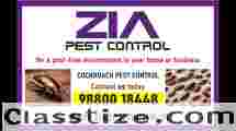 Zia Pest Control Bangalore | Specail Discount for Cockroach servi