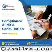 Audit And Consulting Services Delhi