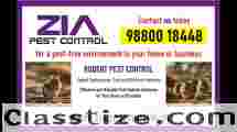 Effective Rodent pest Control | Best deals  | Bangalore | 4008 | 