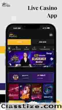 RoyalJeet: Best Live Casino App for Excitement