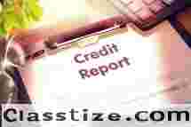 Commercial Credit Report in Indian