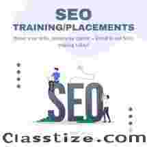 SEO Training / Placements