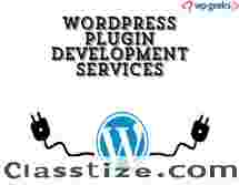 How to Choose the Best WordPress Plugin Development Services