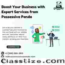 Boost Your Business with Expert Services from Possessive Panda 