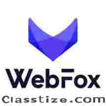 Top Rated On Demand Website Development Company | On Demand Startup Web Solutions | WebFox