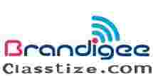 Brandigee - Best Digital Marketing Company in Ahmedabad