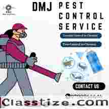 Pest Control in Chennai 