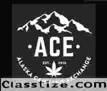 Cannabis Ace - hemp for dogs