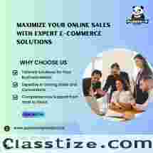 Maximize Your Online Sales with Expert E-commerce Solutions