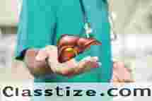 Experienced Liver and Pancreas Specialist in Ludhiana