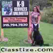 Dog Training Knoxville TN