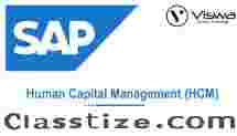 SAP HCM Training Course | SAP HCM Online Classes In India - VISWA Online Trainings