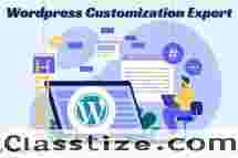 How to Choose the Right WordPress Customization Expert