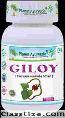  Giloy Capsules - Herbal Remedy for Low Platelet Count