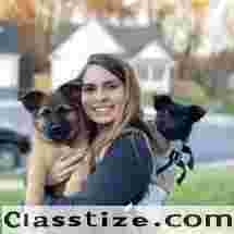 Dog Aggression Training in Tampa