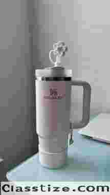 Stainless Steel Vacuum Insulated Tumbler with Lid and Straw for Water