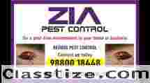 Effective Bedbug Service Treatment  | Rat Control | Zia Pest Control  | 1978