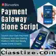 Set Up Your Own Payment Gateway with a Proven Clone Script