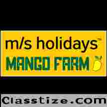 No.1 Mango Farmland for Sale in Chennai - M/S Holidays Mango Farm