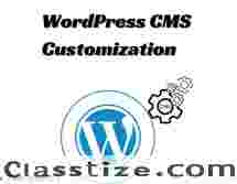 How to Customize Your WordPress CMS | HireWPGeeks