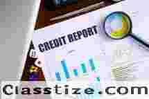 Business Credit Check Services