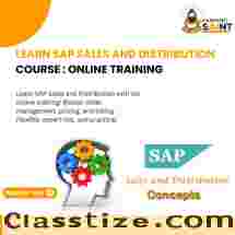 Join the Best SAP SD Training Program - Enroll Today