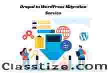 Comprehensive Drupal to WordPress Migration Services