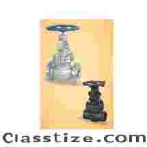 Globe Valve Manufacturer, Supplier & Exporter