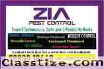 Zia Pest Control | General Pest Control | Ant and Lizard | Marathahalli | 4029