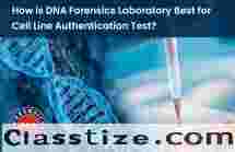 Cell Line Authentication DNA Test in India: A Critical Step for Dependable Research