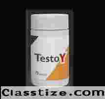 testoy forum