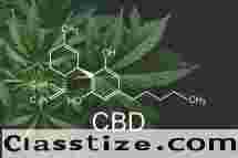 Top Online Retailers for Purchasing Cannabinoids